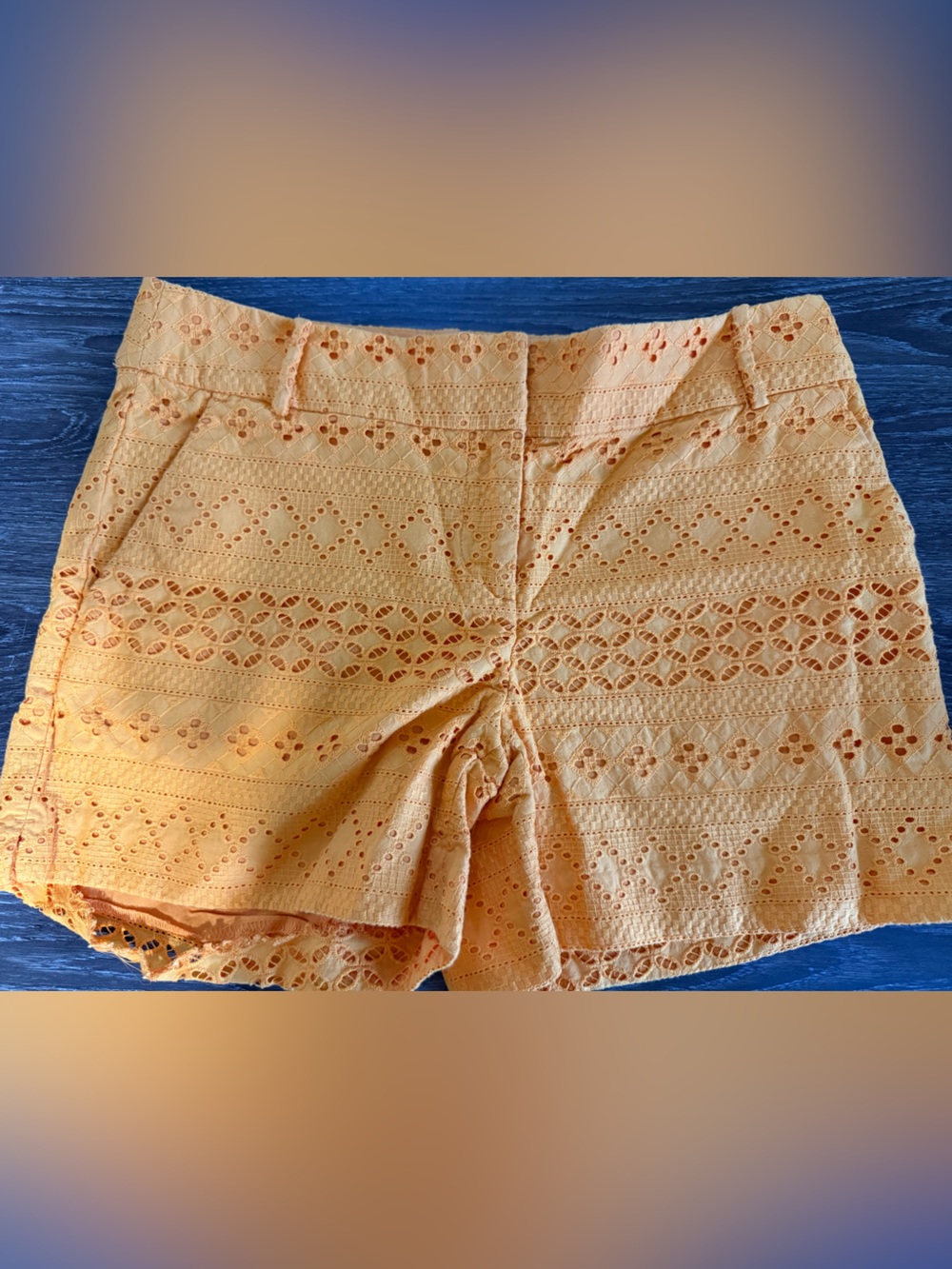 LOFT Eyelet Lace Shorts in Soft Peach
